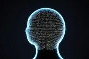 编码引导，数字时代的思维导航与创新引擎