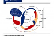 美国的分数等级划分，教育评估体系解析