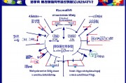 基础教育包括哪几个阶段？全面解析各阶段特点与重要性