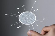 如何优化量子算法性能，关键策略与实践方法