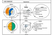 基础教育包括哪几个阶段内容