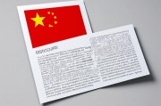 中国AI报告，发展现状、挑战与未来展望